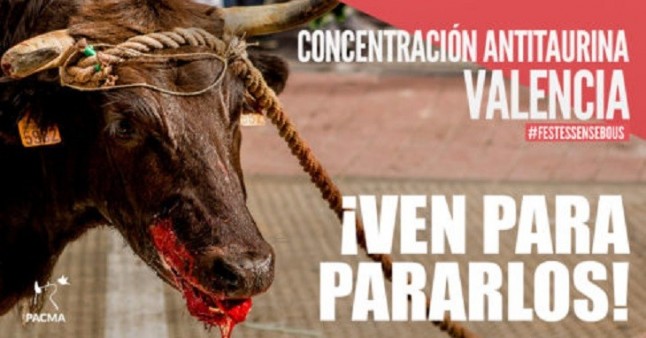 En Valencia serán torturados 72 toros en once días