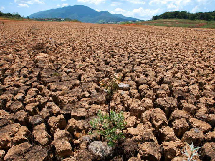 Calentamiento global. Los médicos alertan sobre el "grave problema de salud pública" que está provocando