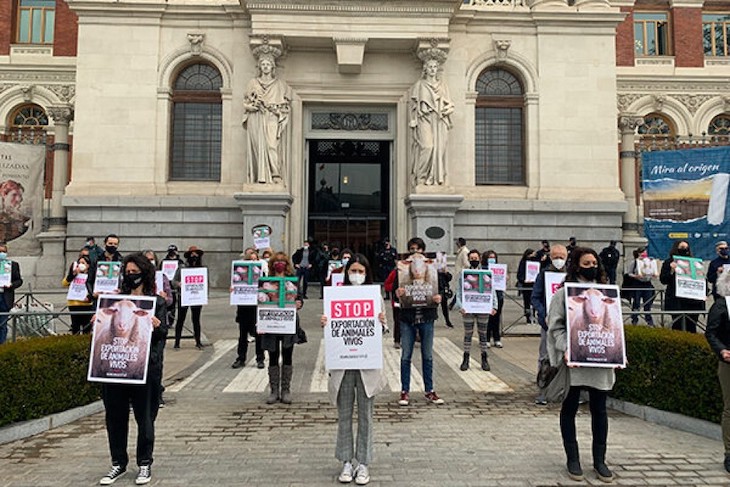 Protesta frente al Ministerio de Agricultura para que España prohíba la exportación de animales