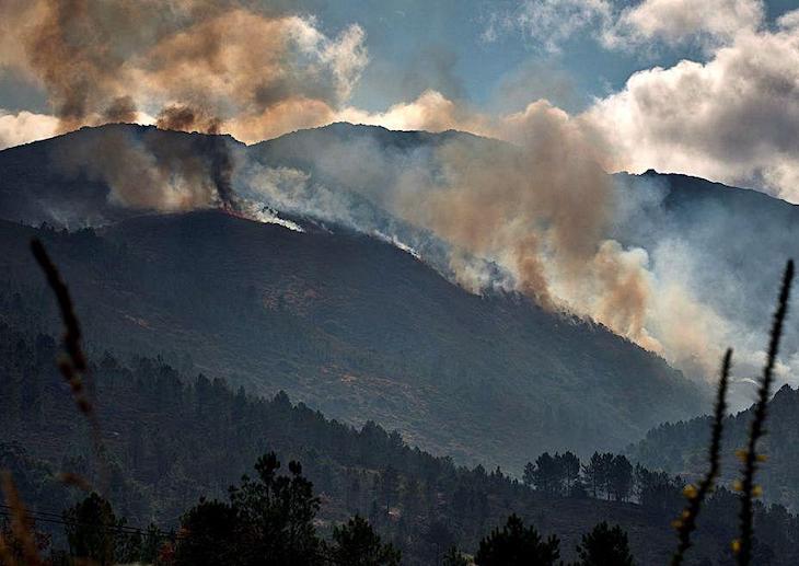 Galicia busca a toda costa evitar la degradación de zonas afectadas por incendios