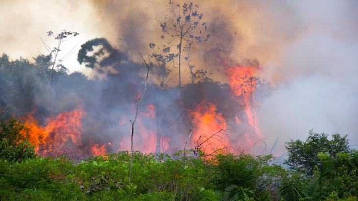 Bolsonaro llama a los países amazónicos a "resistir" frente a la "mentira" de los incendios en la selva