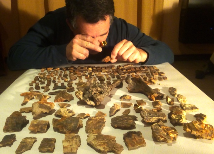 Hallaron un armadillo fósil de 700 mil años que “sobrevivió” a la batalla de Vuelta de Obligado