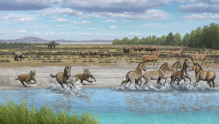 Analizan mediante inteligencia artificial restos de animales de hace 1