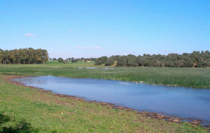 Las obras de mejora de la laguna de San Juan