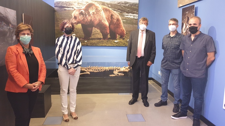 Navarra presenta los restos de un oso cavernario en la exposición ‘Spelaeus’