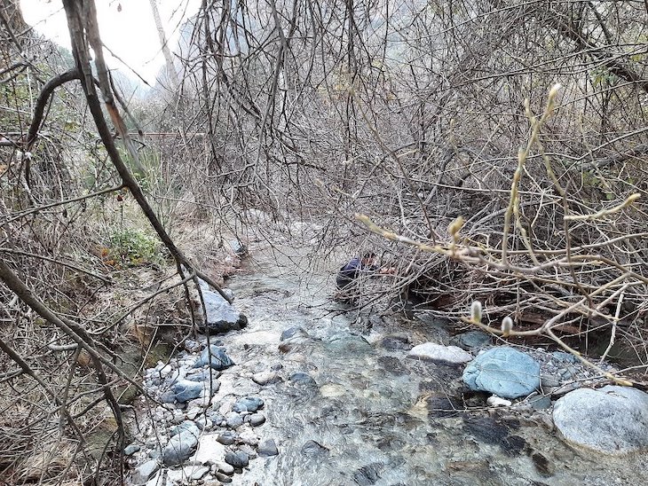 La Junta de Andalucía libera en ríos de la provincia de Granada 40.000 huevos fecundados de trucha común