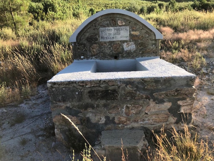 Defendamos el agua como un bien público frente al negocio del agua embotellada