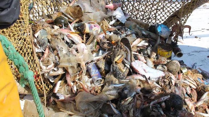 Implicando a las flotas pesqueras en la prevención y recogida de basuras marinas