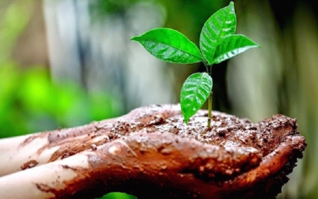 Un nuevo decreto conllevará la perdida de biodiversidad e incremento de la erosión en Castilla y León