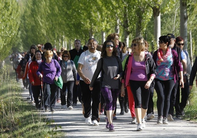 Paseo guiado por la dehesa de Hayas del Astonar