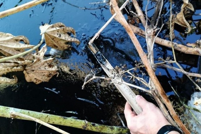 Ecologistas alerta de un vertido de hidrocarburos en la confluencia de dos arroyos en La Línea (Cádiz)