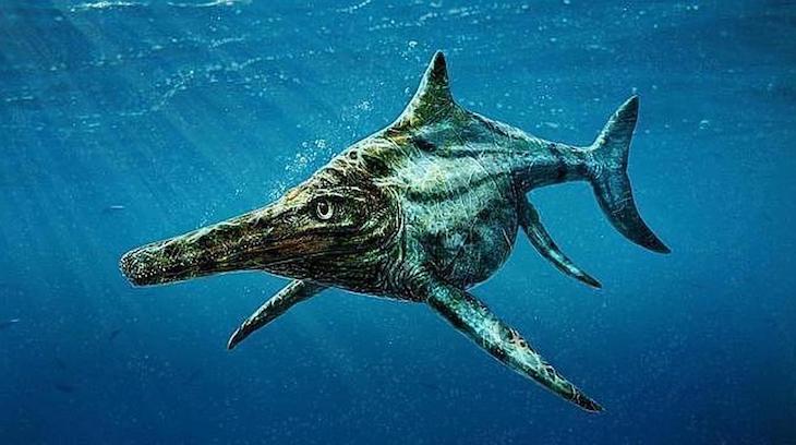 Naturaleza. Un nuevo dragón de mar prehistórico pudo dominar el buceo profundo