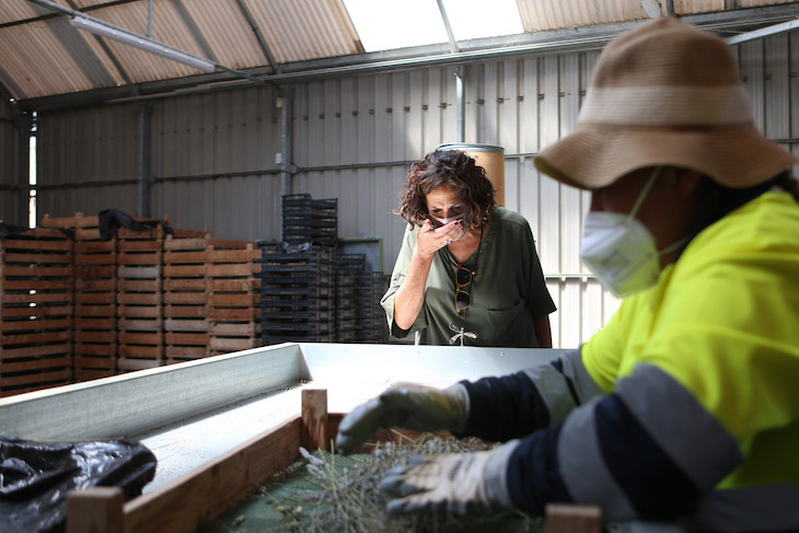 La Economía Circular de Navarra ya no tiene marcha atrás