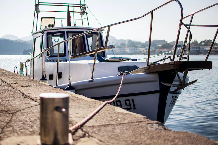 ANSE da comienzo a nuevas campañas para el estudio de las interacciones entre delfines mulares y artes de pesca