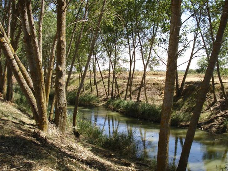 Optimizar la gestión sostenible de los acuíferos para asegurar el futuro hídrico