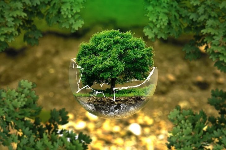 Tu negocio debe ser respetuoso con el medio ambiente