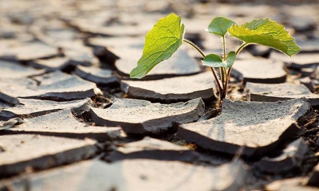 La importancia del Big Data para combatir el cambio climático