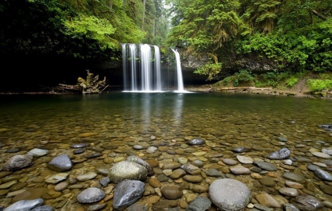 Ecologistas exigen al PSOE que afronte la transición ecológica