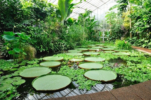Una docena de proyectos de doctorandos en el Real Jardín Botánico