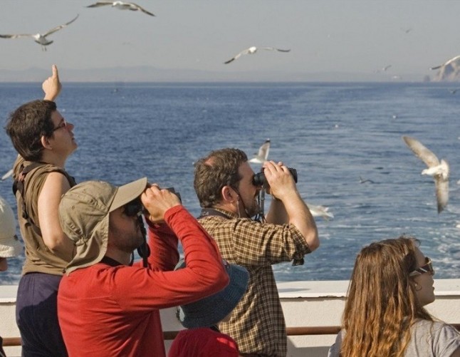 SEO/BirdLife pide al Parlamento Europeo que invierta 1.500 millones de euros para mejorar la conservación de los océanos