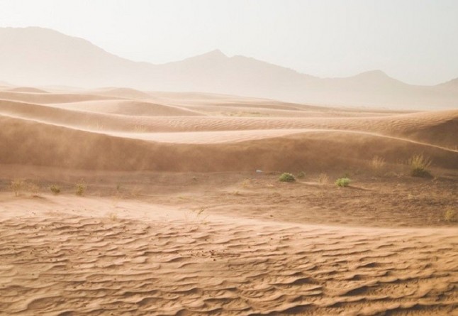 El Sáhara oscila entre clima seco y húmedo cada 20.000 años