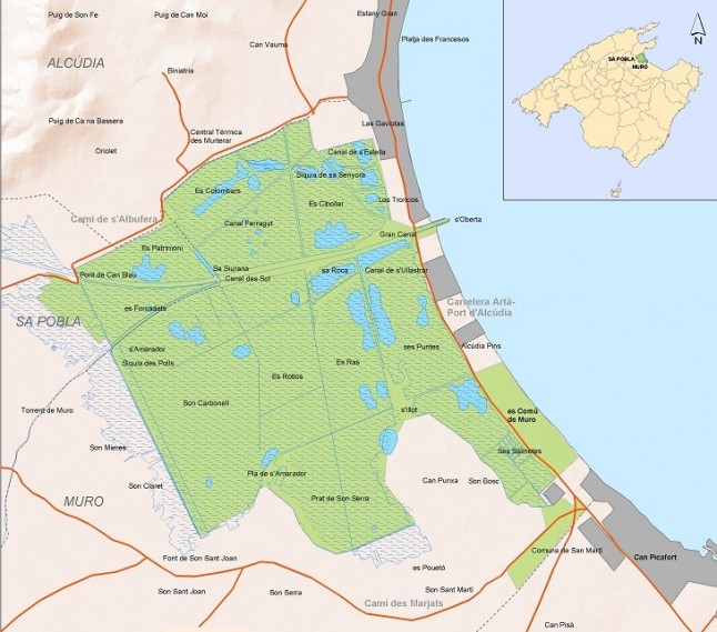 La narcolepsia en la gestión de espacios naturales protegidos de Baleares