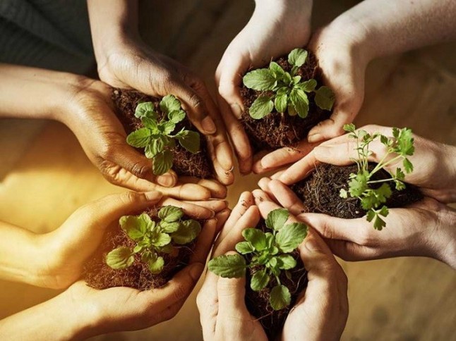 Castilla – La Mancha dedicará fondos para llevar la educación ambiental a los colegios