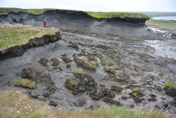 Las raíces de las plantas aumentan la emisión de carbono del permafrost