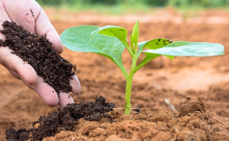 Syngenta… dice que invertirá miles de millones por una agricultura sostenible