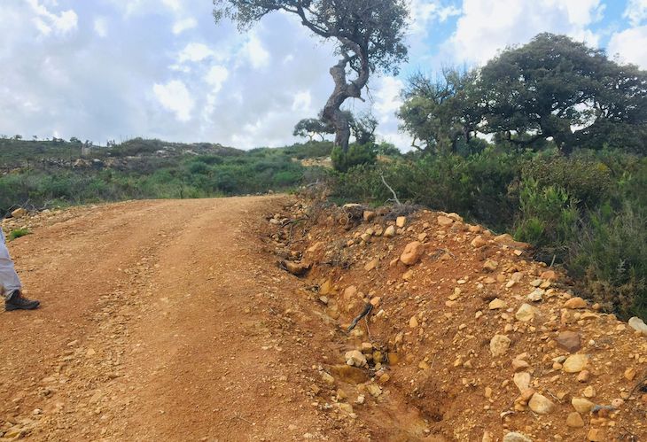 Destrozan el ‘Parque Natural Los Alcornocales’