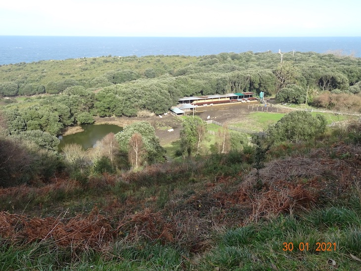 Asturias. No se puede permitir que continúe la contaminación en la Cueva del Pindal en Ribadedeva