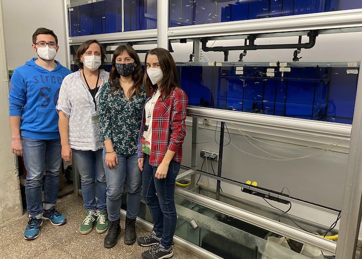 Residuos. Los nanoplásticos alteran el microbioma intestinal