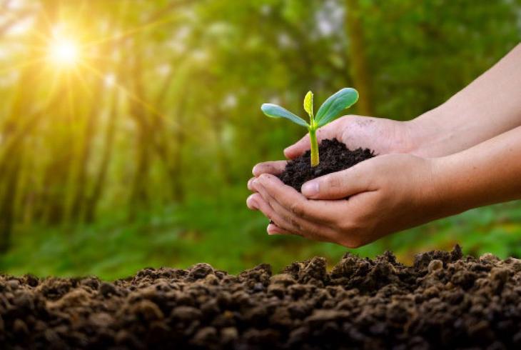 Premios ‘Andalucía de Medio Ambiente 2021’