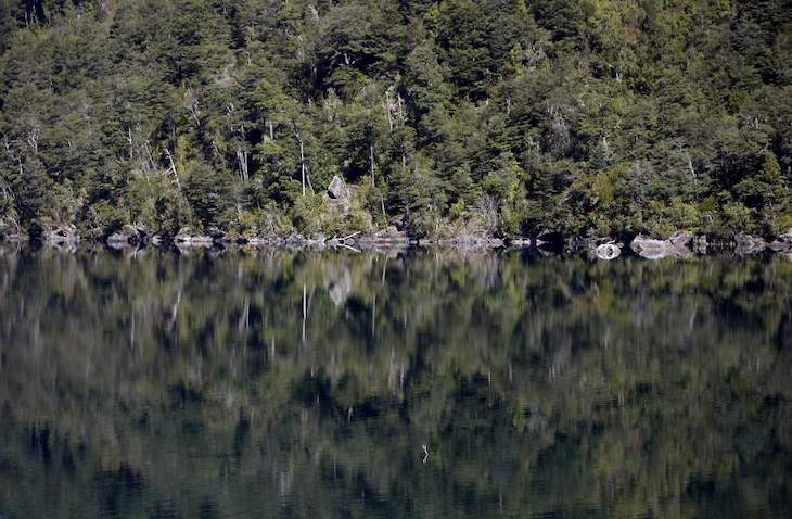 México. Se aseguran más de 15 mil ejemplares de vida silvestre localizados en la Alcaldía Iztapalapa