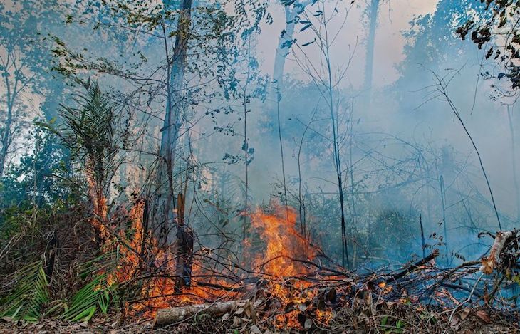 El 83 por ciento de los brasileños asegura sentir preocupación por la situación actual del Amazonas
