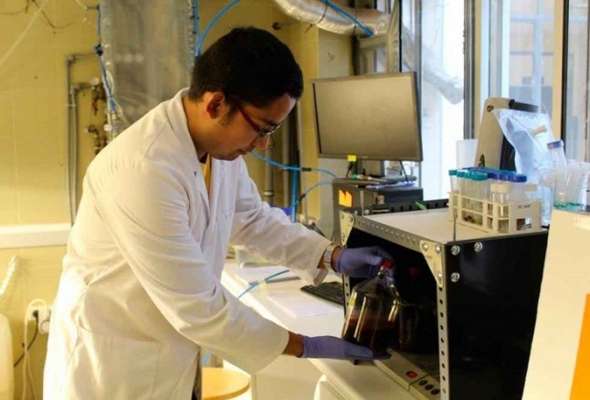 Bacterias púrpuras para convertir purines en biogás