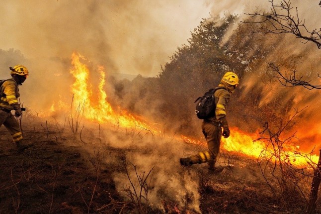 Luz sobre la ola de incendios forestales en Galicia