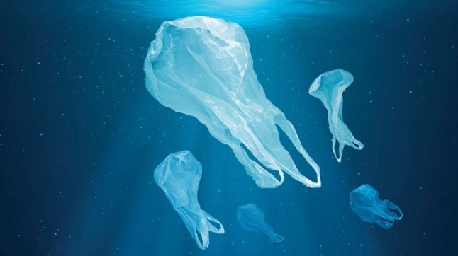 Día Internacional sin bolsas de plástico