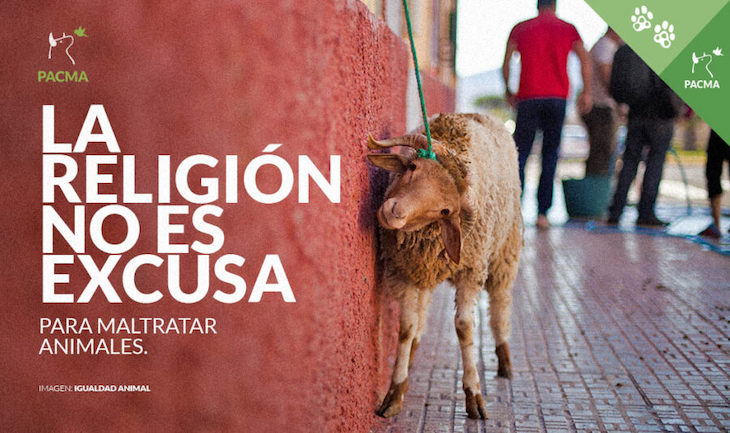 La religión no es excusa para maltratar animales