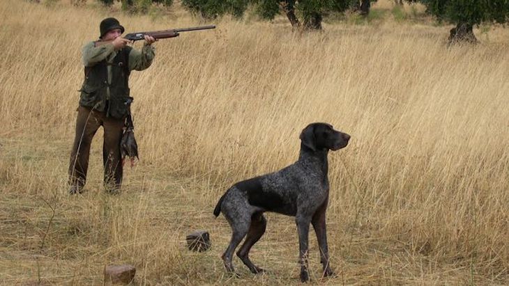 Los cazadores quieren participar en la elaboración de ley de bienestar animal