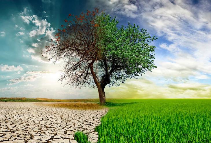 El COVID-19 es un un aperitivo de lo que vendrá con el cambio climático