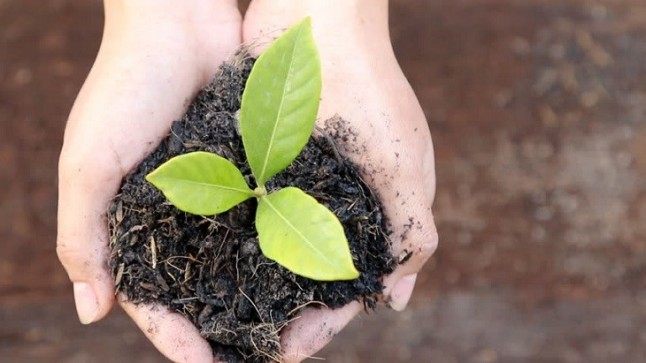 Los Arcos y Lipasam celebran el Día del Medio Ambiente con actividades sobre la calidad del aire y el reciclaje