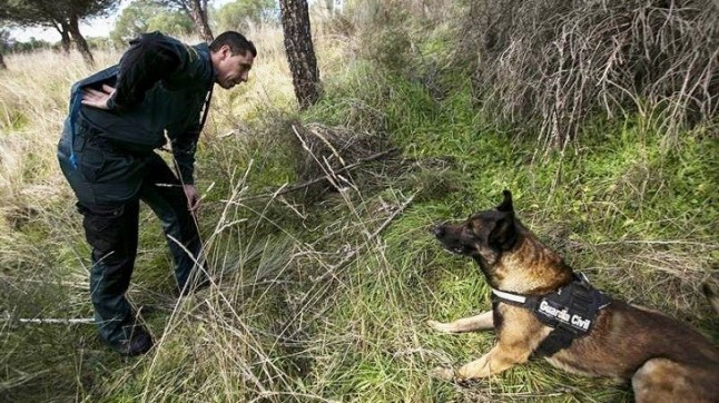 Castilla – La Mancha podría crear una unidad canina contra el veneno en Toledo