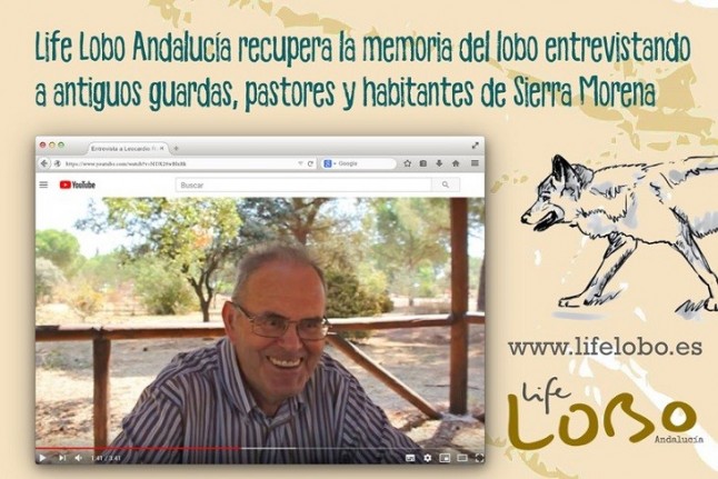 Life Lobo Andalucía recupera la memoria del lobo con los testimonios de aquellos que coexistieron con la especie en las sierras de Córdoba y Jaén