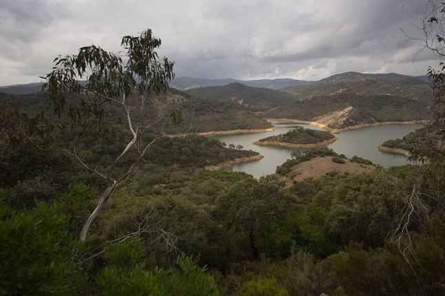 La cacicada que se avecina para la Finca la Almoraima (Cádiz)