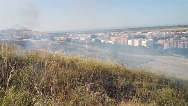 Un nuevo incendio en el Carambolo quema buena parte de los árboles supervivientes de la reforestación