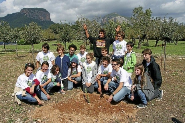 Propósito de Año Nuevo: plantar un billón de árboles