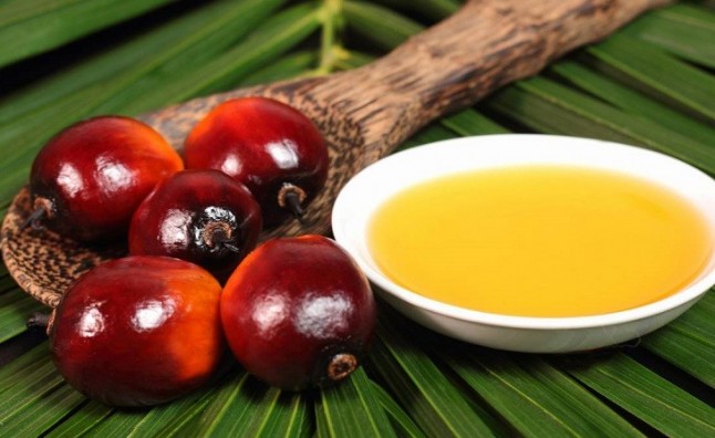 La sociedad rechaza de plano el aceite de palma