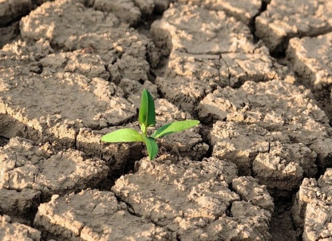 El secretario de Estado de Energía cree que el gas renovable es "esencial" para combatir el cambio climático