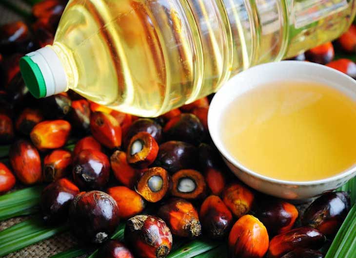 El papel en la ‘Declaración de Amsterdam’ vs el aceite de palma